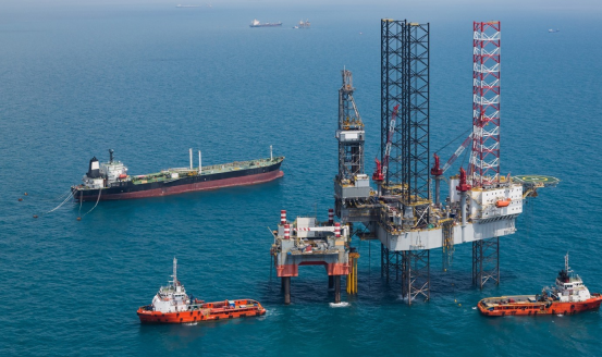 oil-planta